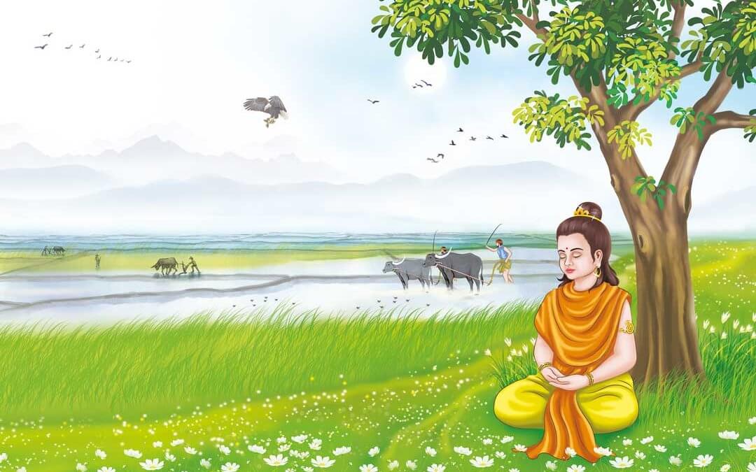 Mit Buddha leben: Das Feld des Geistes kultivieren