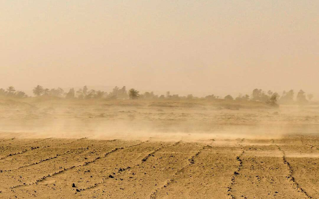 Sand aus unseren Augen spülen?